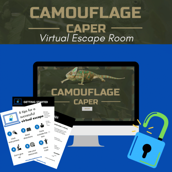 wild animal camouflage game