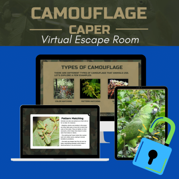 Camouflage Caper: A Wild Animal Camouflage Games - Image 2
