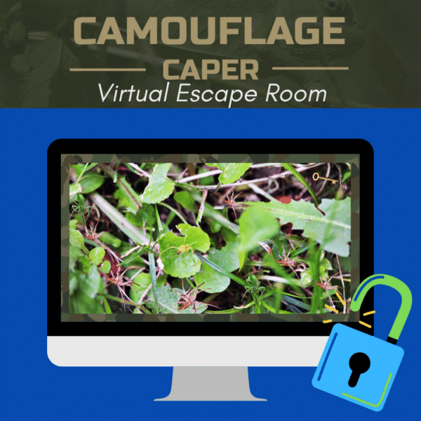 Camouflage Caper: A Wild Animal Camouflage Games - Image 3
