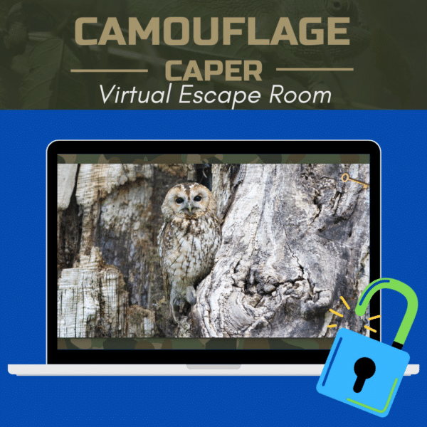 Camouflage Caper: A Wild Animal Camouflage Games - Image 4