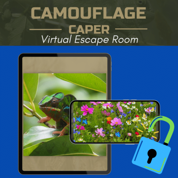 Camouflage Caper: A Wild Animal Camouflage Games - Image 5